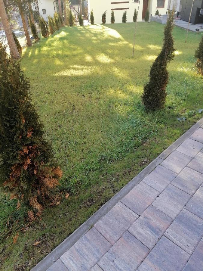 Forest Andrijana Zlatibor Esterno foto